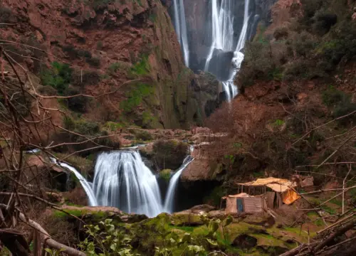 Ouzoud Waterfalls from Marrakech: Everything You Need to Know Before You Go