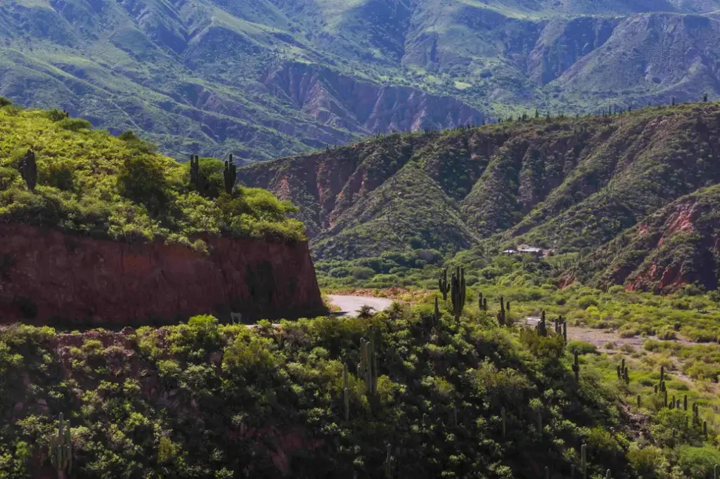 road-in-mountains