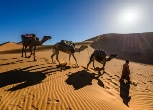 Agafay Desert Tour from Marrakech